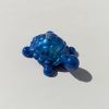 Turtle small leg
