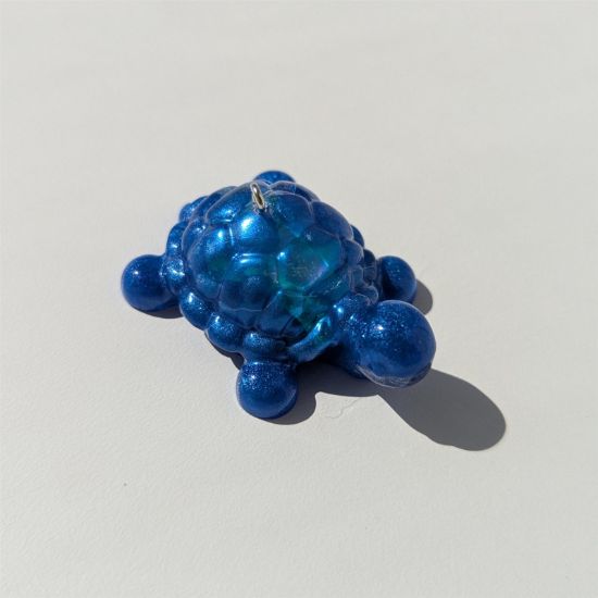 Turtle small leg